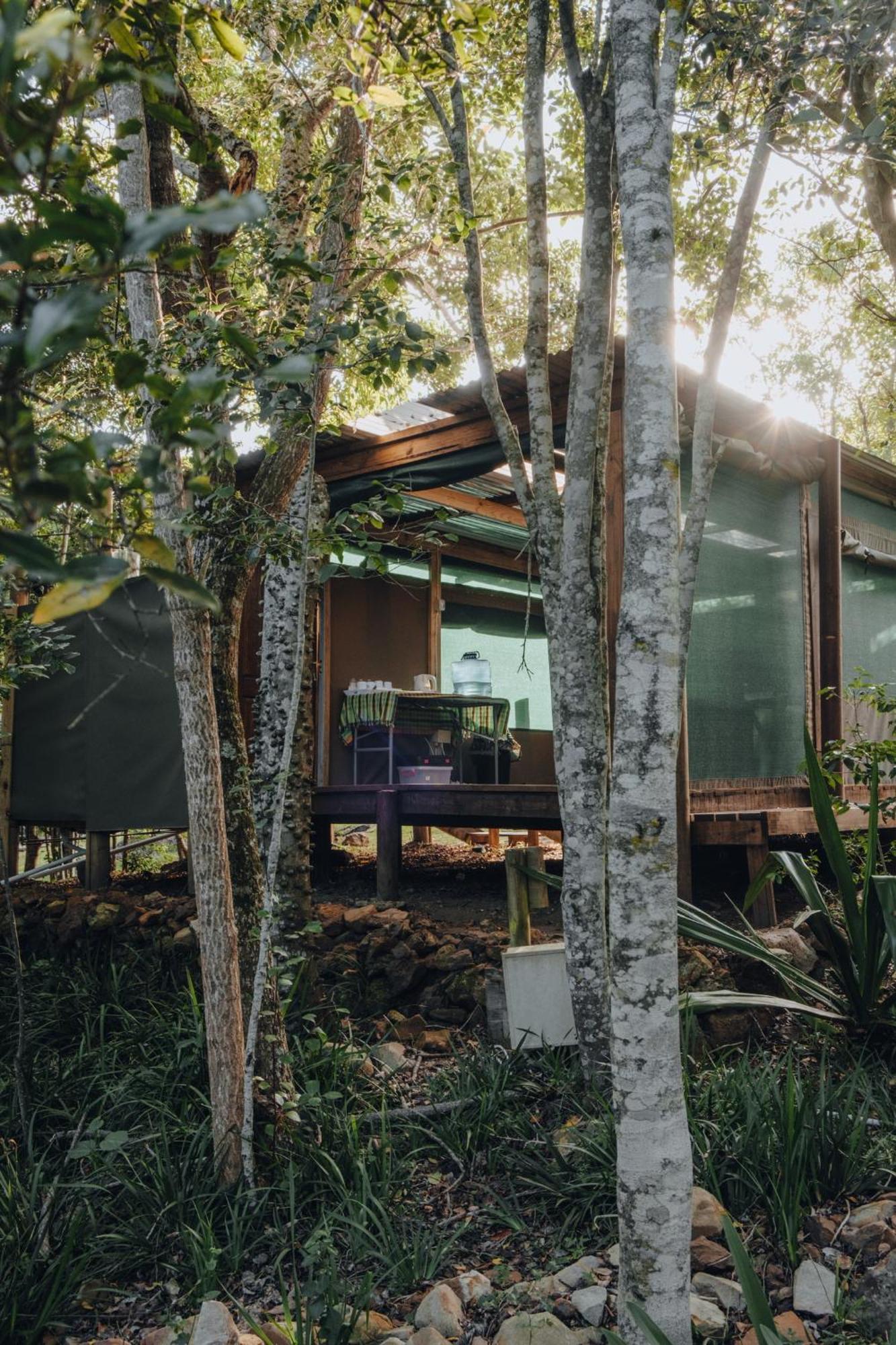 Firefly Falls Plettenberg Bay Bagian luar foto