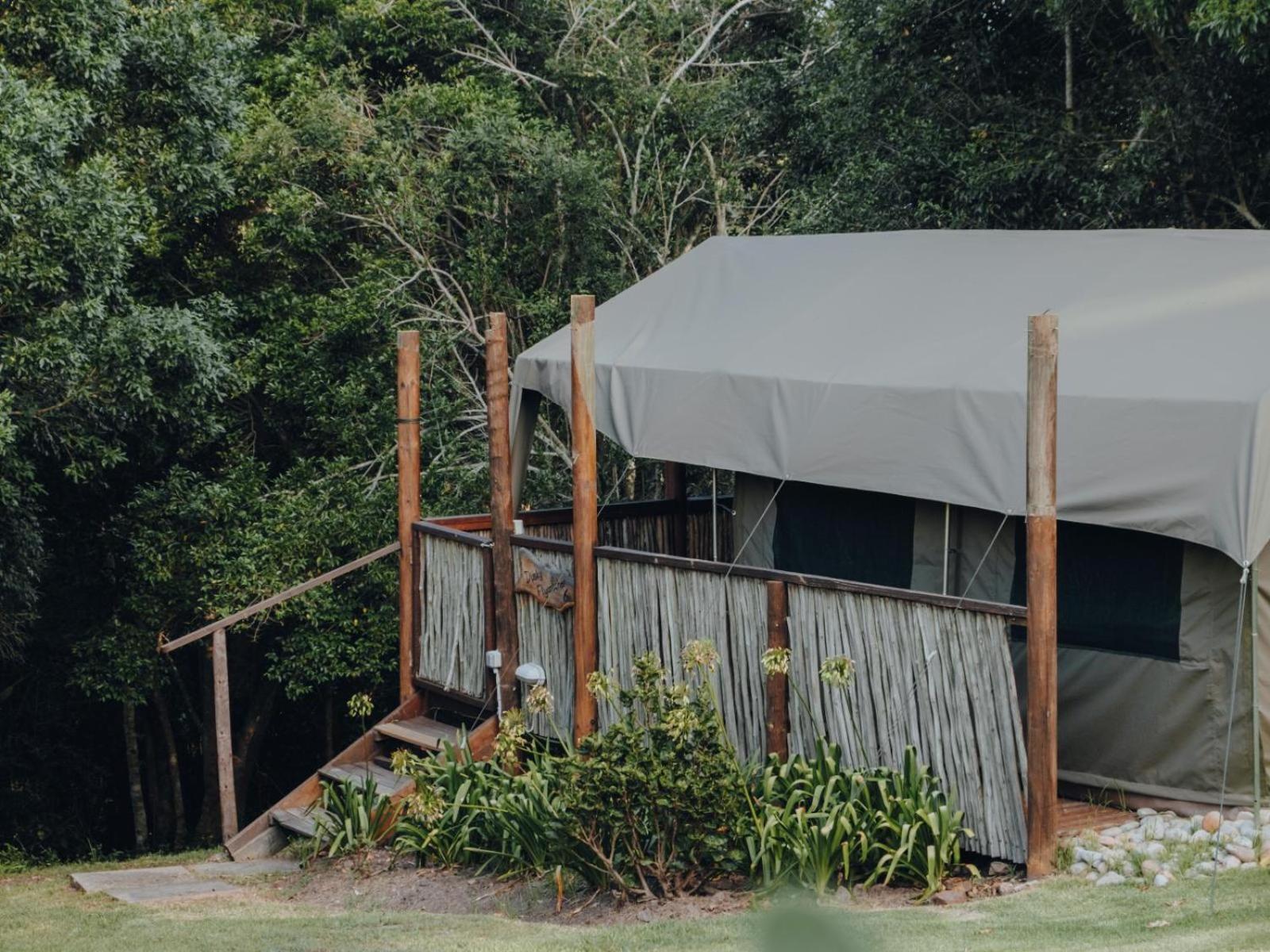 Firefly Falls Plettenberg Bay Bagian luar foto
