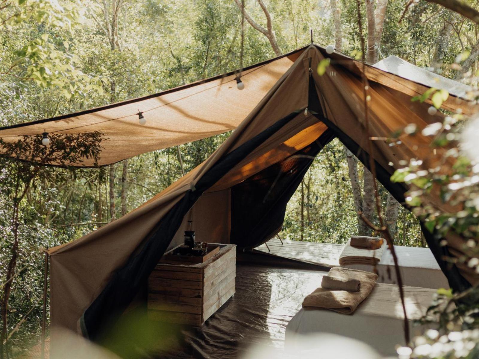 Firefly Falls Plettenberg Bay Bagian luar foto