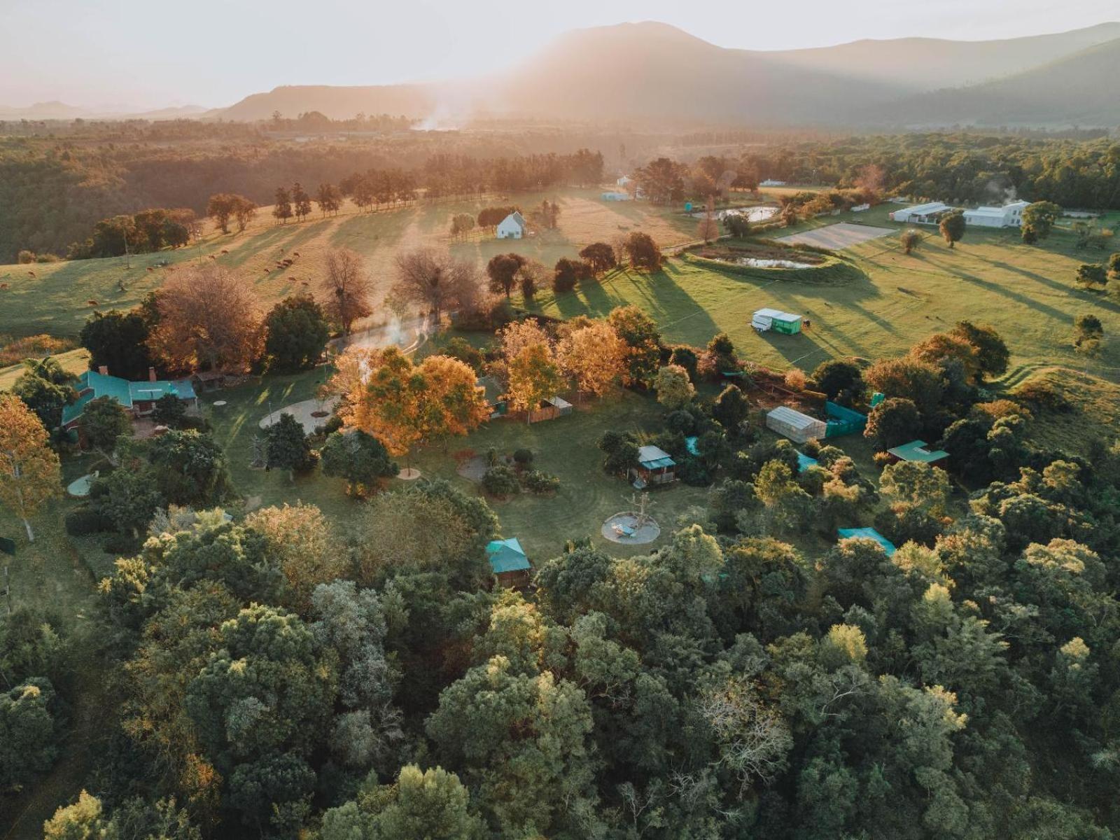 Firefly Falls Plettenberg Bay Bagian luar foto